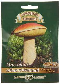Семена. "Масленок" на зерновом субстрате Гавриш