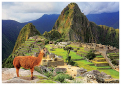 Пазл Educa 1000 деталей