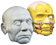 Набор скульптора Edu-toys Юлий Цезарь