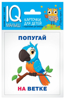 Набор карточек для Детей Айрис-Пресс Умный Малыш. кто Где находится? (25732)