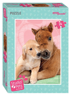 Пазл Step Puzzle 35 деталей