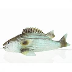 Фигура Gloria Garden Сазан 31x14x10,5 см