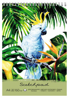 Альбом для пастели Феникс+ Попугай (цветная бумага с хлопковым волокном)