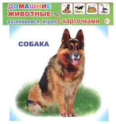 Обучающие карточки Слово Домашние Животные