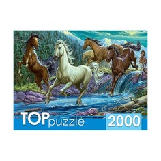 Пазлы Toppuzzle. Ночной табун лошадей, 2000 элементов TOPpuzzle