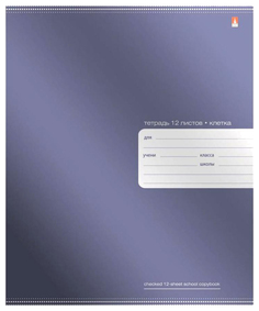 Тетрадь "Премиум металлик" А5, в крупную клетку Альт