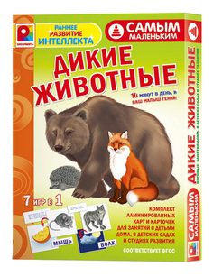Семейная настольная игра Радуга Самым маленьким, Дикие животные С-973