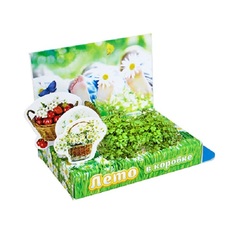 Набор для выращивания Happy Plants Лето в коробке hps-239 базилик, горчица