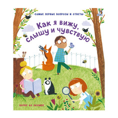 Книга 40 Окошек. как Я Вижу, Слышу и Чувствую Робинс