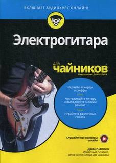 Книга Электрогитара для чайников Страта
