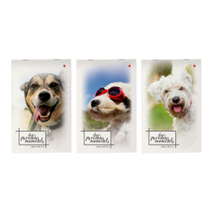 Блокнот Альт, А5 (148 х 195 мм.), ЩЕНОЧКИ 40 л., 3-40-578, обложка в ассортименте