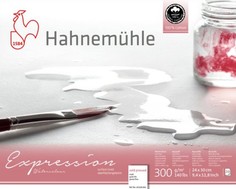 Альбом-склейка для акварели Hahnemuhle "Expression" 24х30см 300г 20л среднее зерно, хлопок