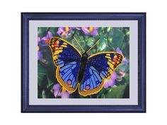 Набор для вышивания бисером Butterfly Бабочка