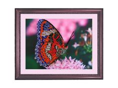 Набор для вышивания бисером Butterfly Бабочка
