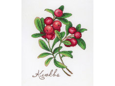 Набор для вышивания МП студия Дары природы. Клюква