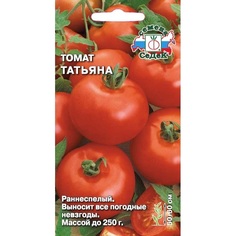 Томат Татьяна Седек