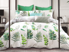 Постельное белье Cleo Roxana (2 спал.)