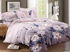 Постельное белье Cleo Christina цвет: мультиколор (семейное)