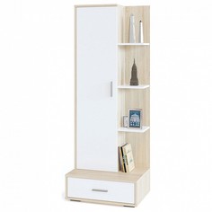 Шкаф комбинированный СТ-9 Сокол