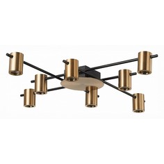 Потолочная люстра Veroli SL1207.402.08 ST Luce