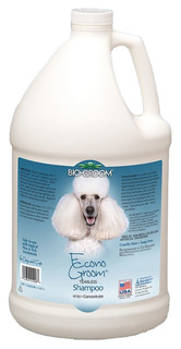 Шампунь для кошек и собак Bio-Groom Econogroom универсальный, ланолин, 3,8 л