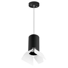 Светильник подвесной Lightstar Rullo, RP437436, 50W, G10
