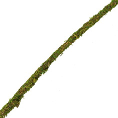 Искусственное растение для террариума Repti-Zoo Лиана искусственная со мхом, 15*2000 мм.