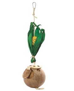 Игрушка для птиц Triol Чудо-кокос, 42,5/45,5x11 cм