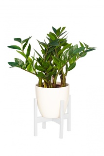 Подставка для кашпо Oxalis 20, белая Green Ween
