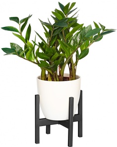 Подставка для кашпо Oxalis 20, черная Green Ween