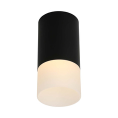 Потолочный светильник Omnilux OML-100619-01 Lucido