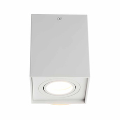 Потолочный светильник Omnilux OML-101109-01 Feletto