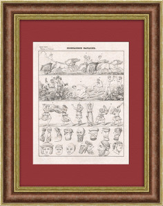 Спорт в античности: борьба, фехтование, гонки и др. Гравюра 1838 года Rarita