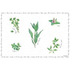 Салфетка под горячее "Herbarium" Easy Life