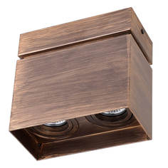 Потолочный светильник Favourite 2794-2U Retro