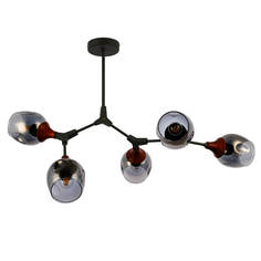 Люстра подвесная Evoluce SLE113402-05 Ciotolla