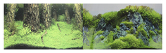 Фон для аквариума Prime Затопленный лес/Камни с растениями, винил, 100x50 см P.R.I.M.E.
