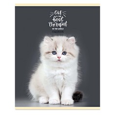 Тетрадь Remix Пушистые котята-1 линия 48 л