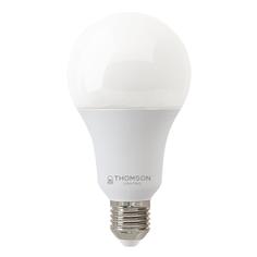 Лампочка светодиодная Thomson, TH-B2352, 24W, E27