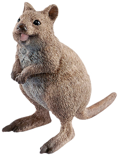 Квокка Schleich