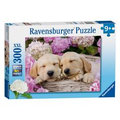 Пазл Ravensburger Сладкие щенки в корзинке 300 деталей 13235