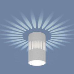 Накладной точечный светильник с подсветкой DLS026 Elektrostandard