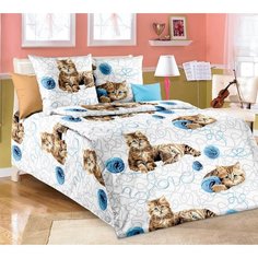 Пододеяльник 1.5 спальный 150х215 см бязь Люкс Цап-царап Ивановотекстиль