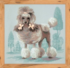 Набор для вышивания арт.СС-1635 "Малый пудель" 25х25 см Риолис