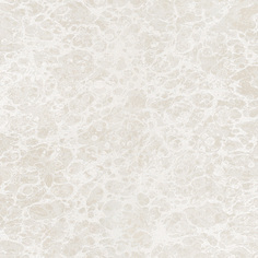 Виниловые обои Zambaiti Parati Trussardi 2 5560