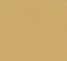 Виниловые обои Rasch Etro 517545