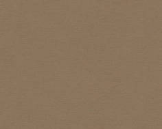 Виниловые обои A.S. Creation 30689-2