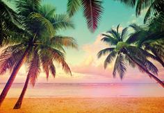Фотообои бумажные Komar Miami 8-967