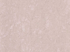Виниловые обои Zambaiti Parati Trussardi 3 3446
