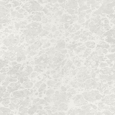 Виниловые обои Zambaiti Parati Trussardi 2 5563